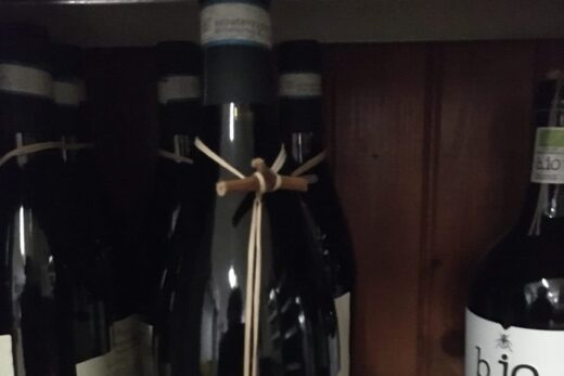 Nos vins Spécial Fêtes